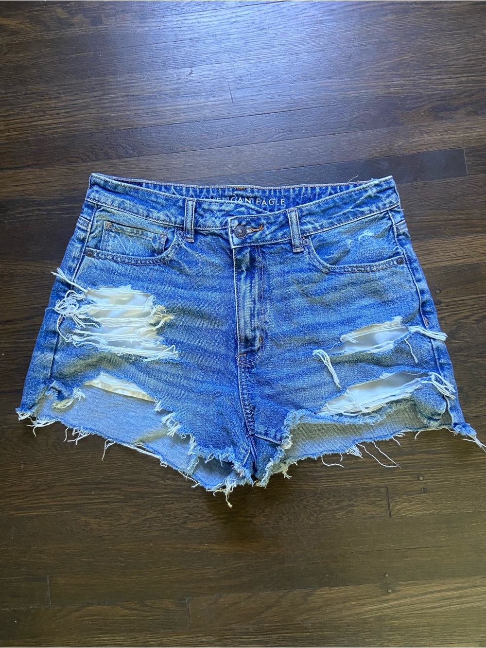 American Eagle Outfitters Distressed Light Blue Denim Cutoff Shorts